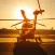 Helicopter Pilot AR