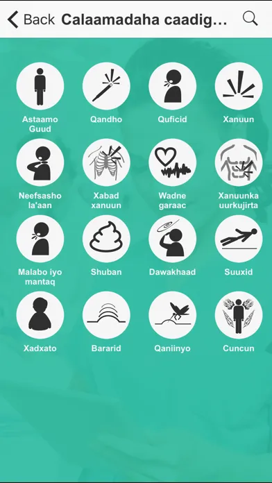 UniversalNurse Speaker: Translator for Nurses with Audio Ekran Görüntüleri
