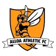 Alloa Athletic TV