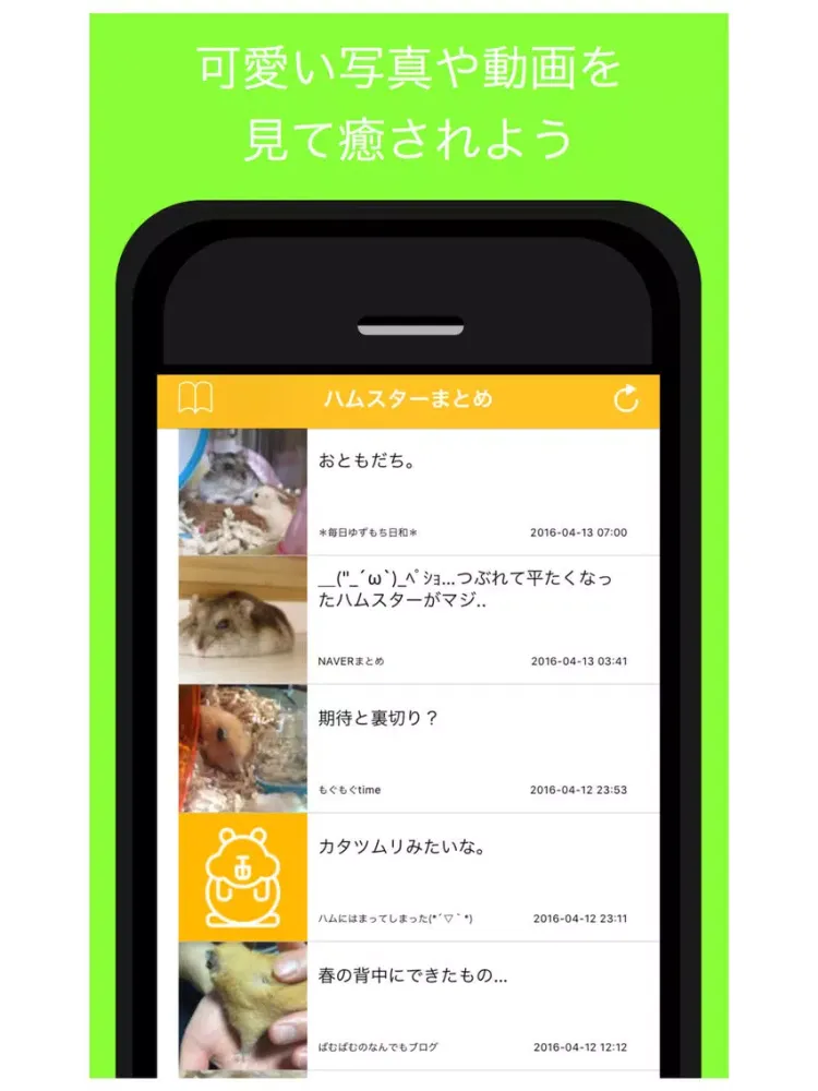 تصاویر ハムスターまとめ - 人気ハムスターブログの最新記事をまとめてお届け iPad 