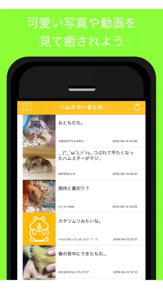 تصاویر ハムスターまとめ - 人気ハムスターブログの最新記事をまとめてお届け
