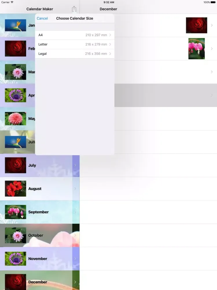 Calendar Maker 2017 - Create Photo Calendar as PDF iPad  سکرین شاٹس