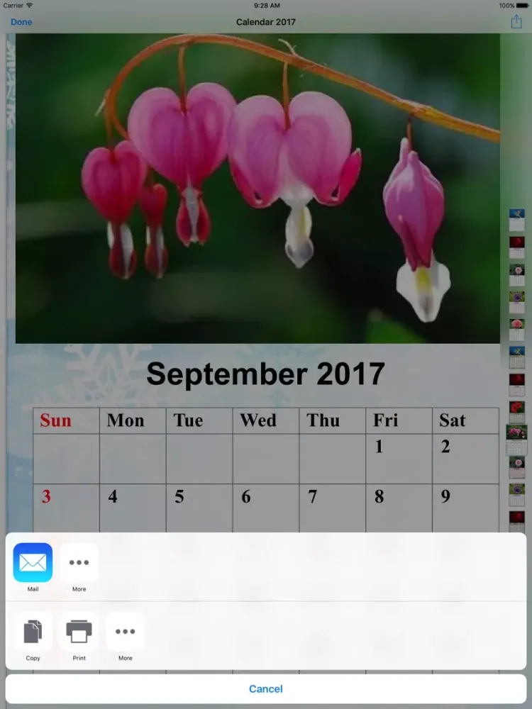 Calendar Maker 2017 - Create Photo Calendar as PDF iPad  سکرین شاٹس