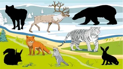 Wunderkind - world of animals game for youngster and cissy স্ক্রিনশট