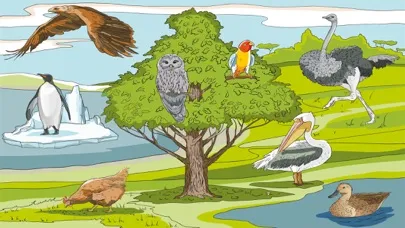 Wunderkind - world of animals game for youngster and cissy স্ক্রিনশট