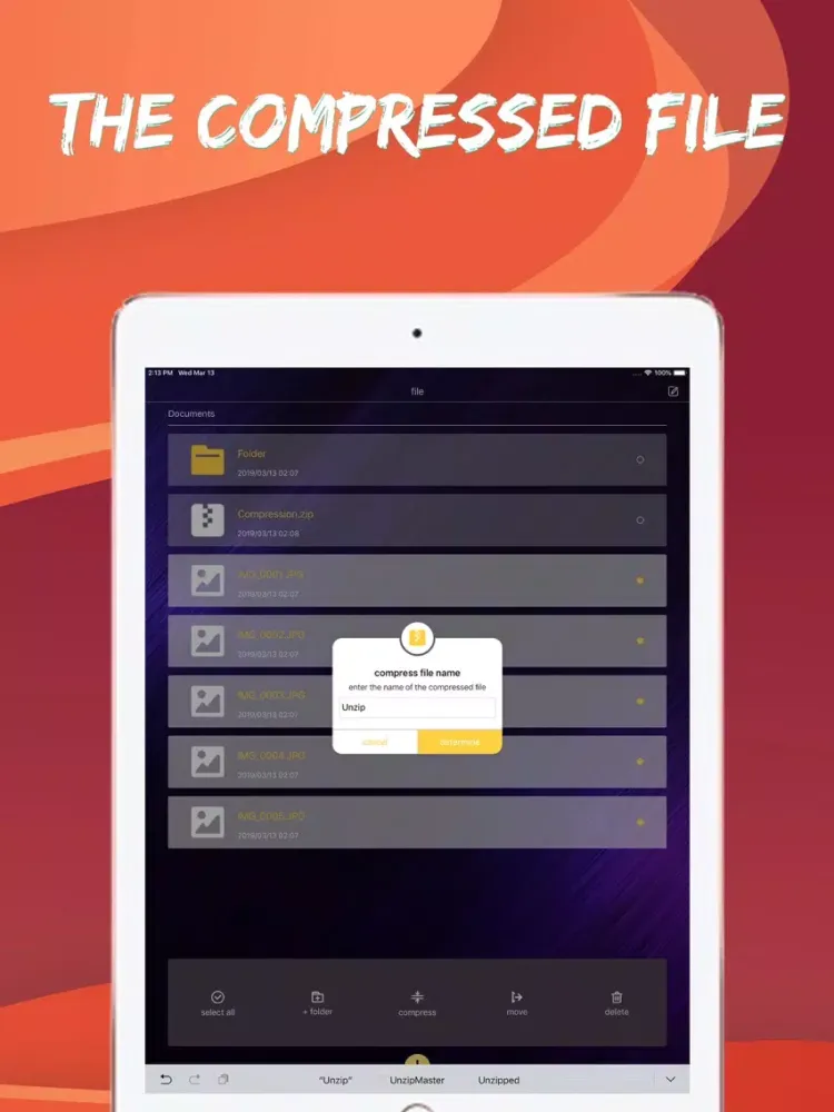 Unzip Master iPad  سکرین شاٹس
