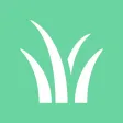 Idaho Grasses