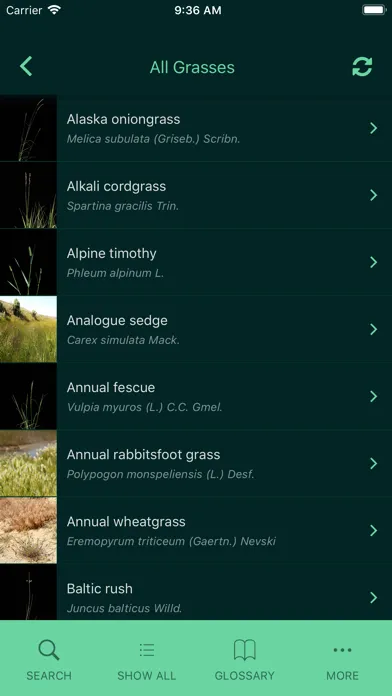 Idaho Grasses स्क्रीनशॉट