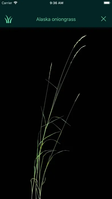 Idaho Grasses स्क्रीनशॉट
