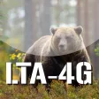 LTA-4G