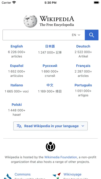 Скриншоты Kiosk - fullscreen browser