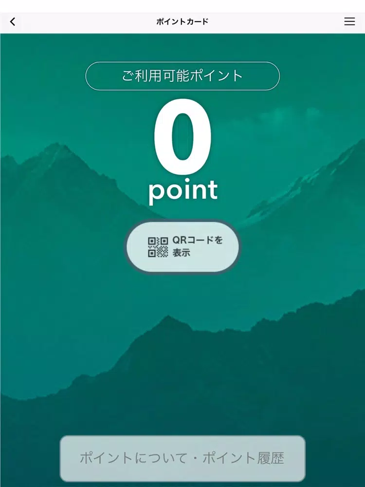 サロモン ストア iPad 應用截圖