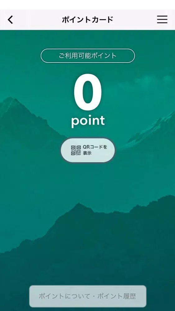 サロモン ストア應用截圖