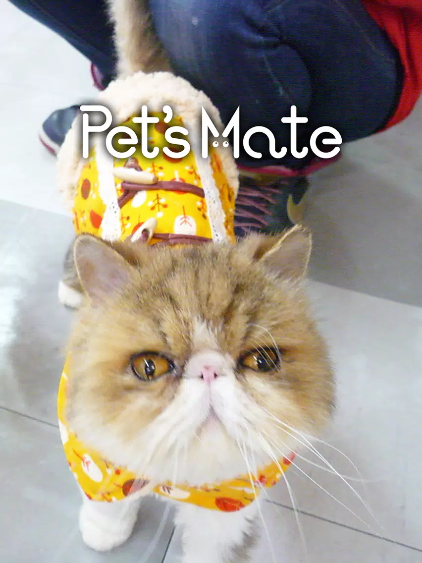 ภาพหน้าจอของ Pet’s Mate（ペッツメイト） iPad 