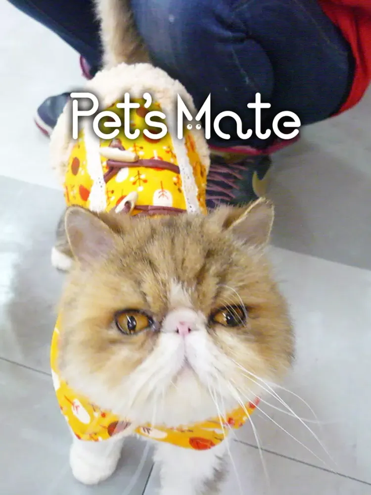 Pet’s Mate（ペッツメイト） iPad 应用截图