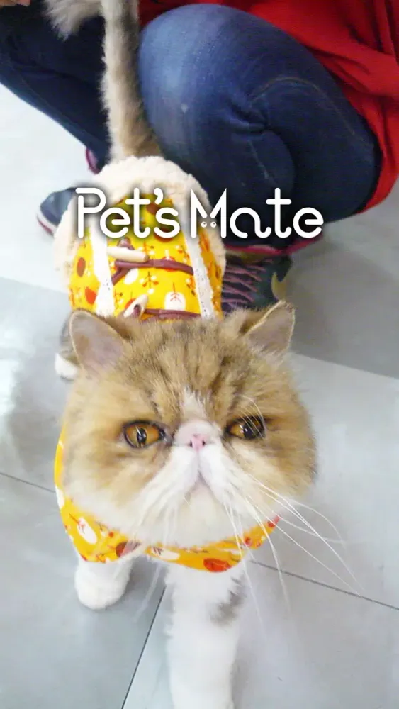 Pet’s Mate（ペッツメイト）应用截图