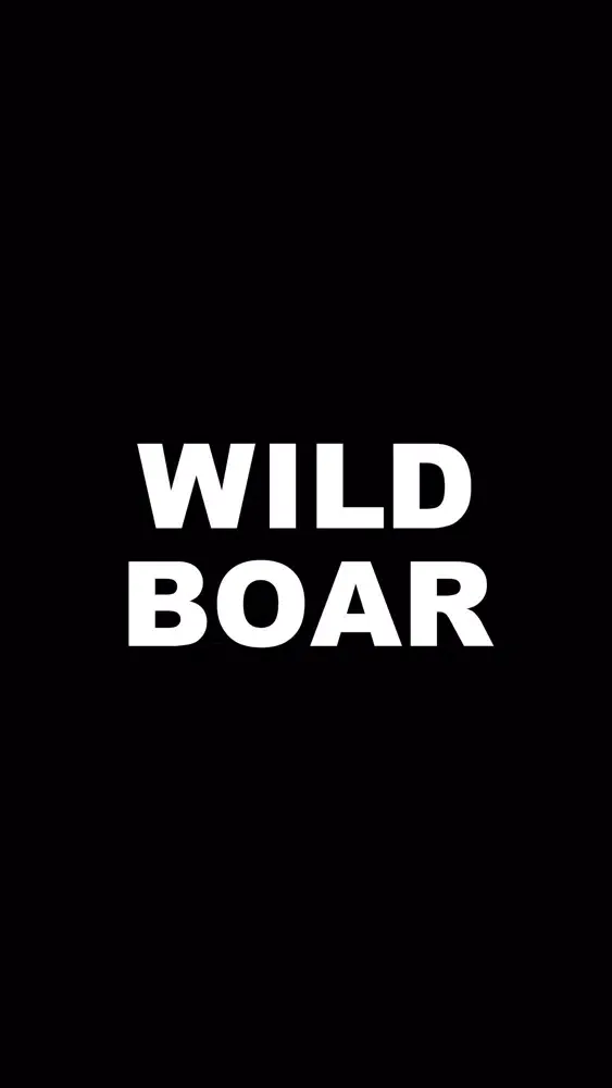 ภาพหน้าจอของ BAR WILD BOAR（バーワイルドボア）