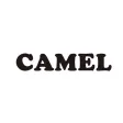Camel - キャメル Camel - キャメル