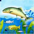 Super Salmon