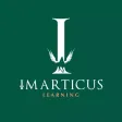Imarticus Learning Hub