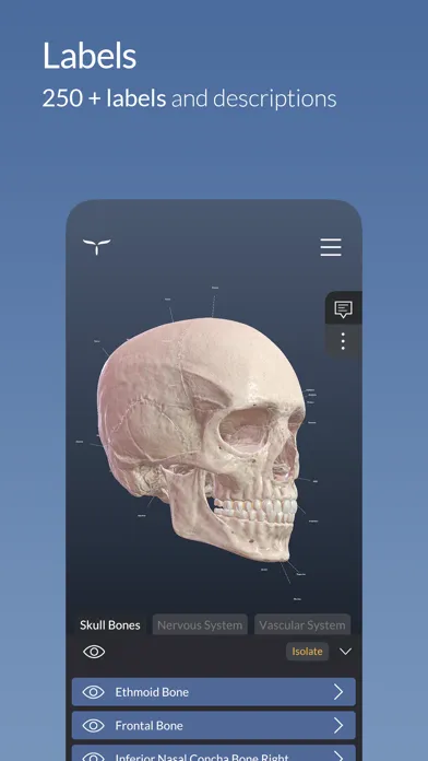 Head Atlas Ekran Görüntüleri