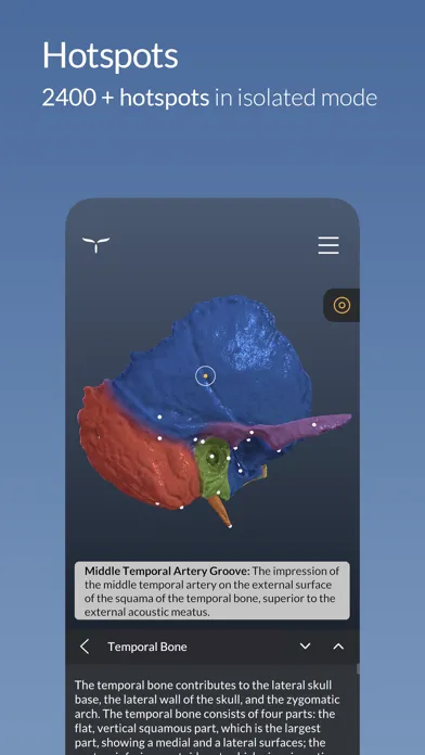 Head Atlas Ekran Görüntüleri