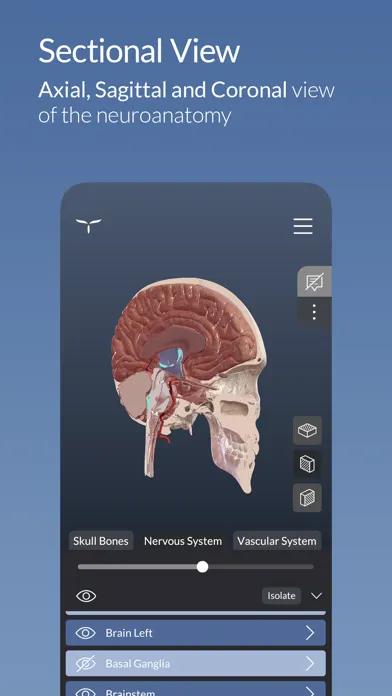 Head Atlas Ekran Görüntüleri