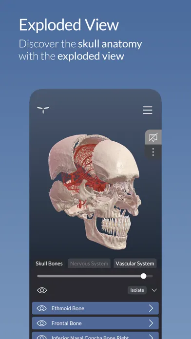 Head Atlas Ekran Görüntüleri