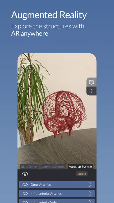 Head Atlas Ekran Görüntüleri