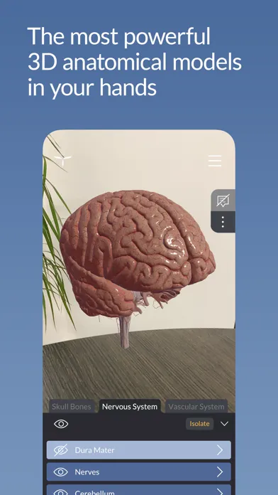 Head Atlas Ekran Görüntüleri