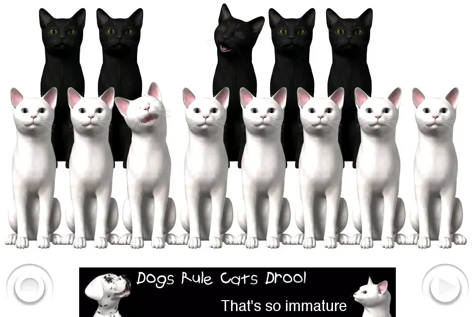 صور Piano Cats Free