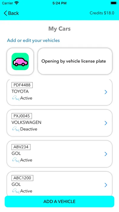 Igor.global Screenshots