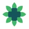 Urban Care MyHealth