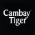 Cambay Tiger