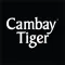 Cambay Tiger