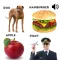 Learn English vocabulary