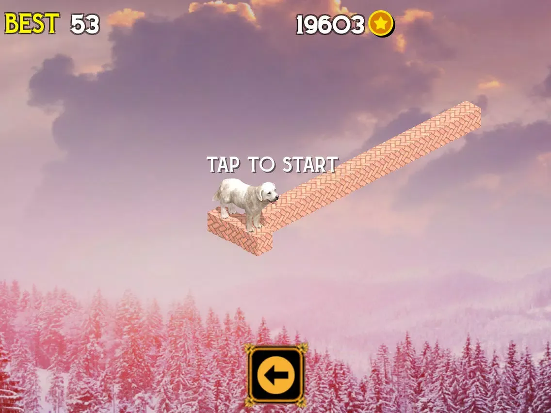 Zrzuty ekranu Run & Move Your Animal Pets iPad 