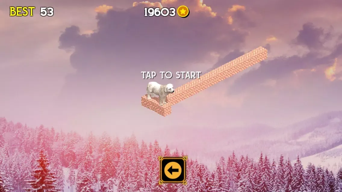 Zrzuty ekranu Run & Move Your Animal Pets