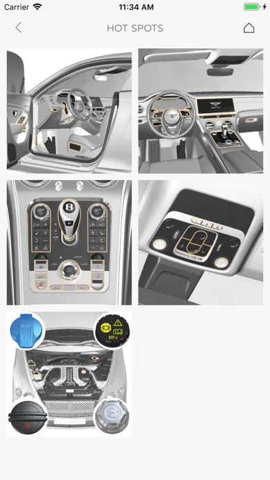 Bentley Driver's Guide स्क्रीनशॉट