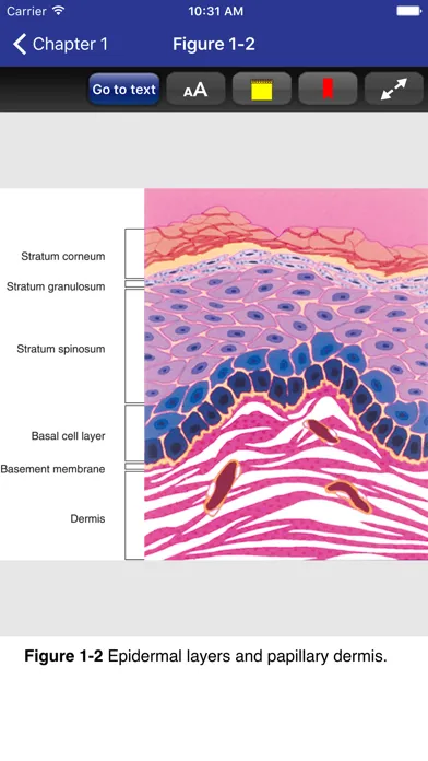 تصاویر Dermatology Secrets Plus, 5/E