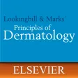 Lookingbill & Marks' Derm. 5E