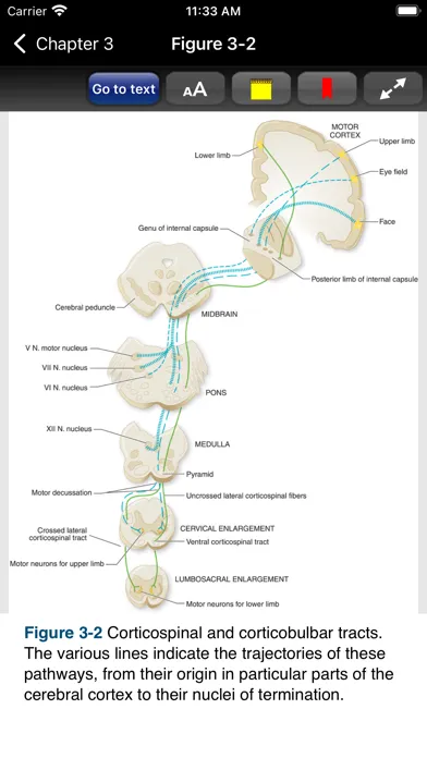 Adams & Victor's Neurology 12E سکرین شاٹس