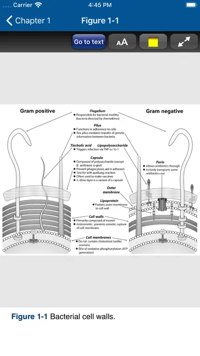 Deja Review Microbio/Immun. 3E應用截圖
