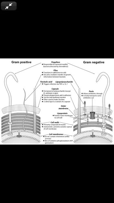 Deja Review Microbio/Immun. 3E應用截圖