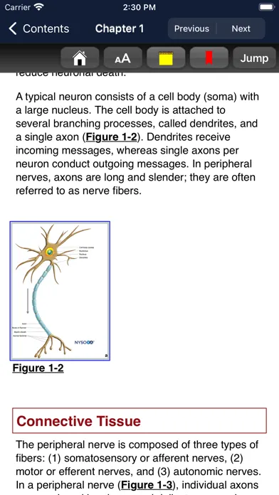 Zrzuty ekranu Hadzic's Nerve Blocks, 3E