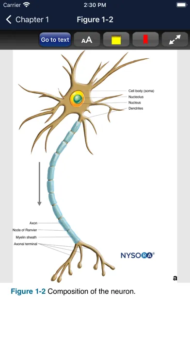 Zrzuty ekranu Hadzic's Nerve Blocks, 3E
