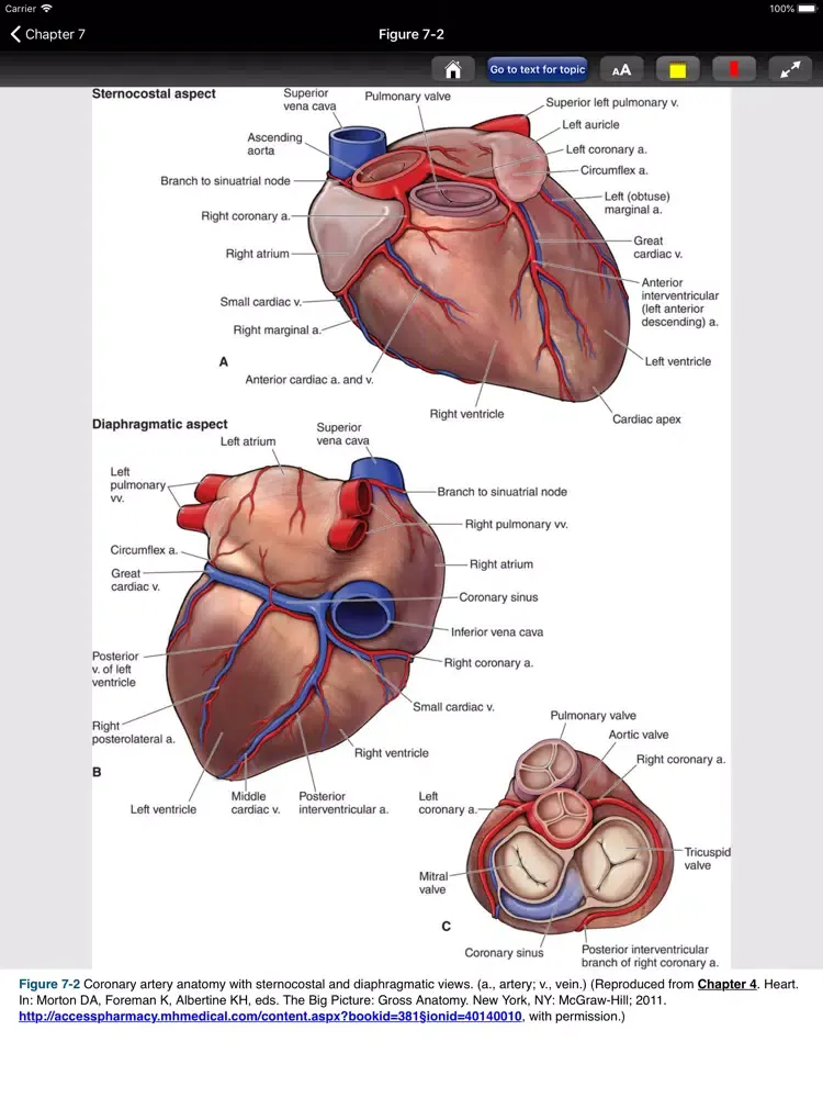 Tangkapan layar Pharmacotherapy Principles 5/E iPad 