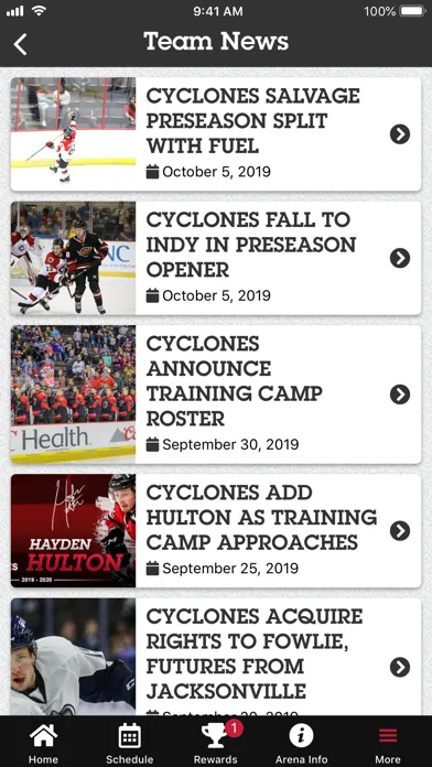 Скриншоты Cincinnati Cyclones