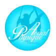 Aerial Physique TV Aerial Physique TV