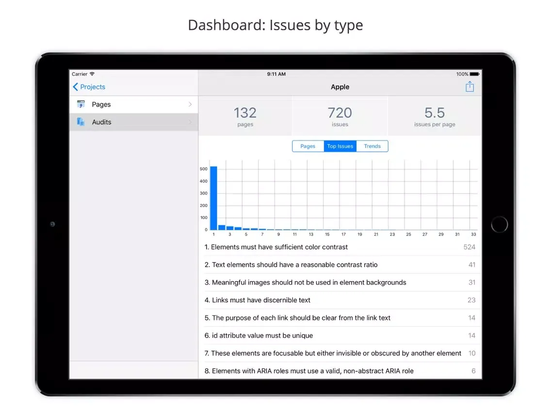 Tangkapan layar Mobile Web Accessibility Check iPad 